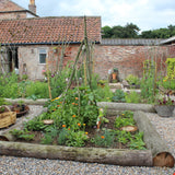 'Grounded' Gardening Group