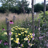 'Grounded' Gardening Group