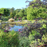 'Grounded' Gardening Group